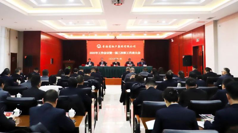 堅定信心促發(fā)展 實干爭先攀新高&mdash;&mdash;省物產集團2025年工作會議暨一屆三次職代會勝利召開