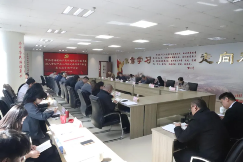 省物產(chǎn)集團黨委召開深入貫徹中央八項規(guī)定精神學習教育第二次專題研討會