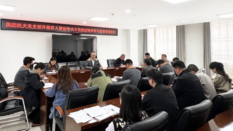集團機關(guān)黨支部開展深入貫徹中央八項規(guī)定精神學習教育專題研討