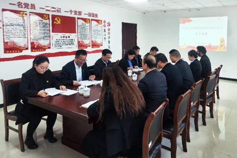 中國共產(chǎn)黨臨空公司黨員大會(huì)勝利召開